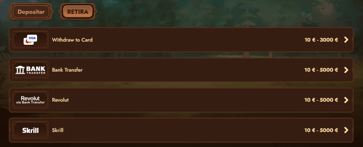 Métodos de pago en Wild Robin
